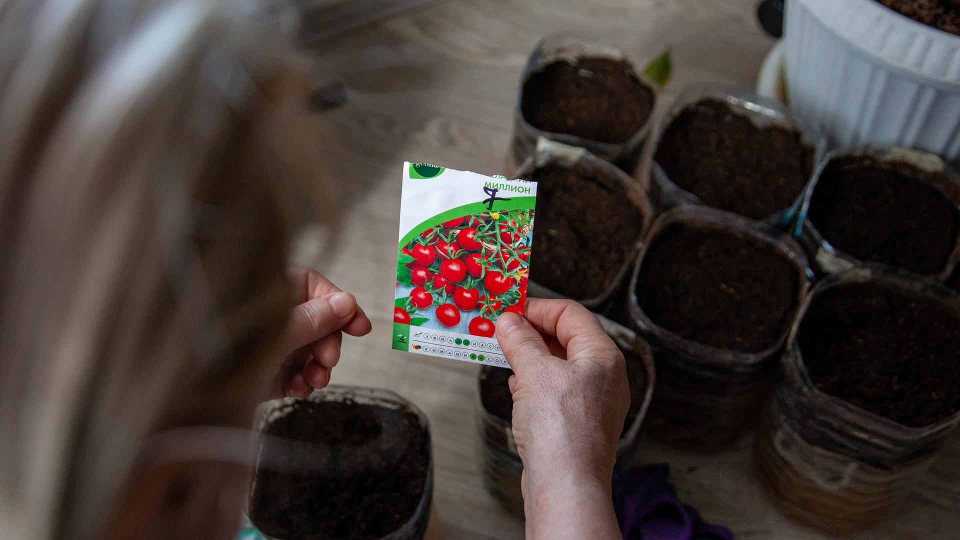 Фото: Oksana Korol/Business Online