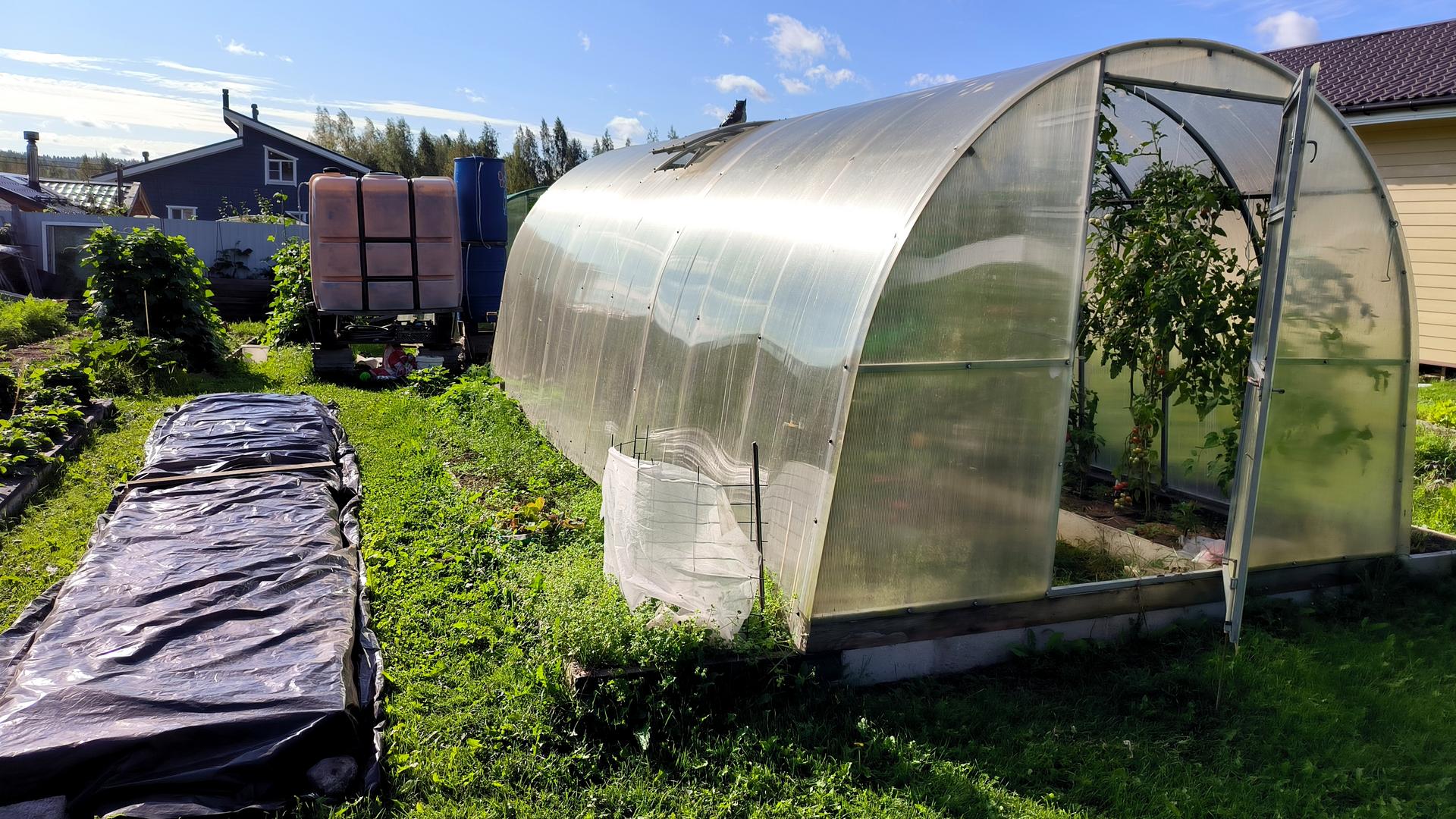 Фото: Maksim Konstantinov/Global Look Press