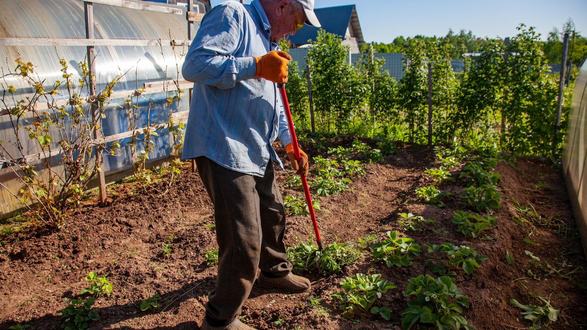 Фото: Oksana Korol/Business Online