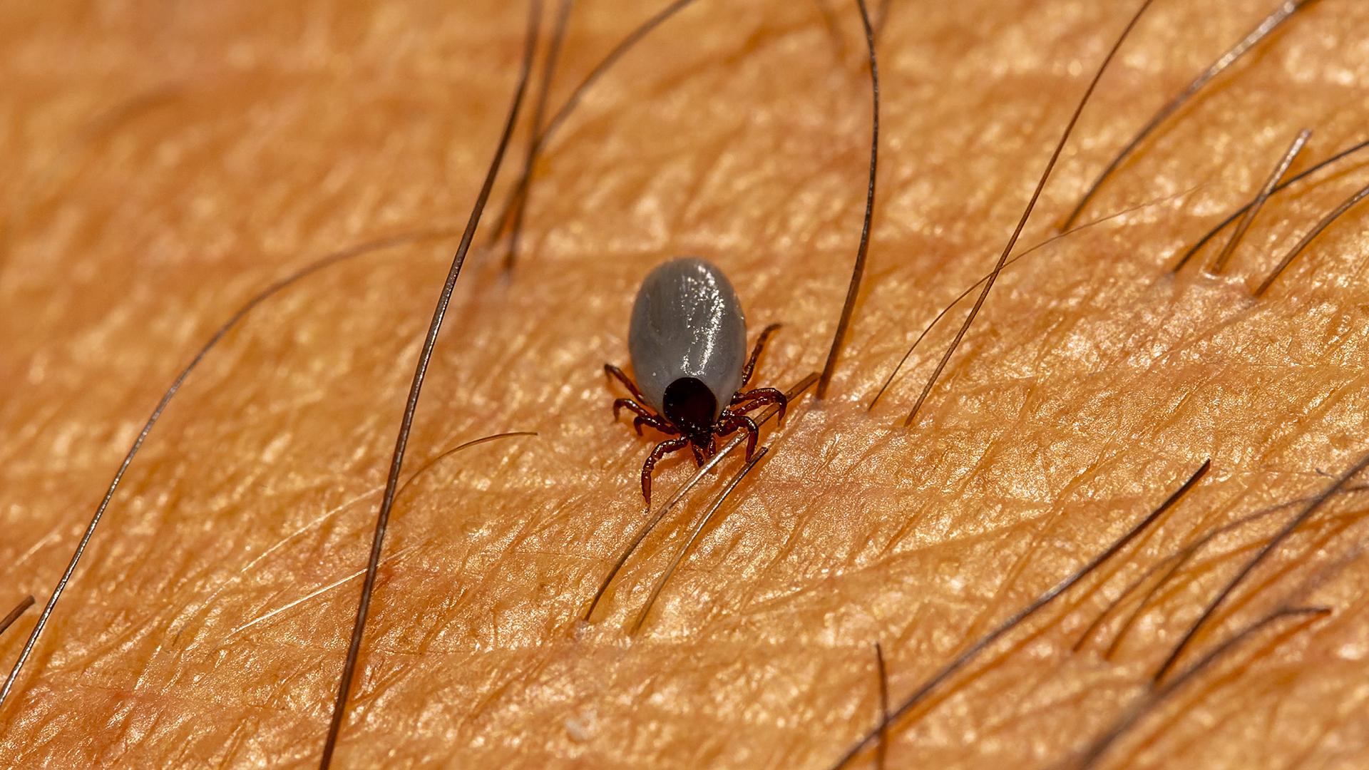 Фото: IMAGO/Bernd Feil/M.i.S./globalookpress.com