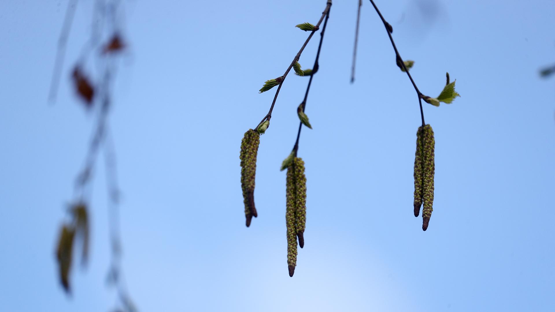 Фото: Belkin Aleksey/globallookpress.com