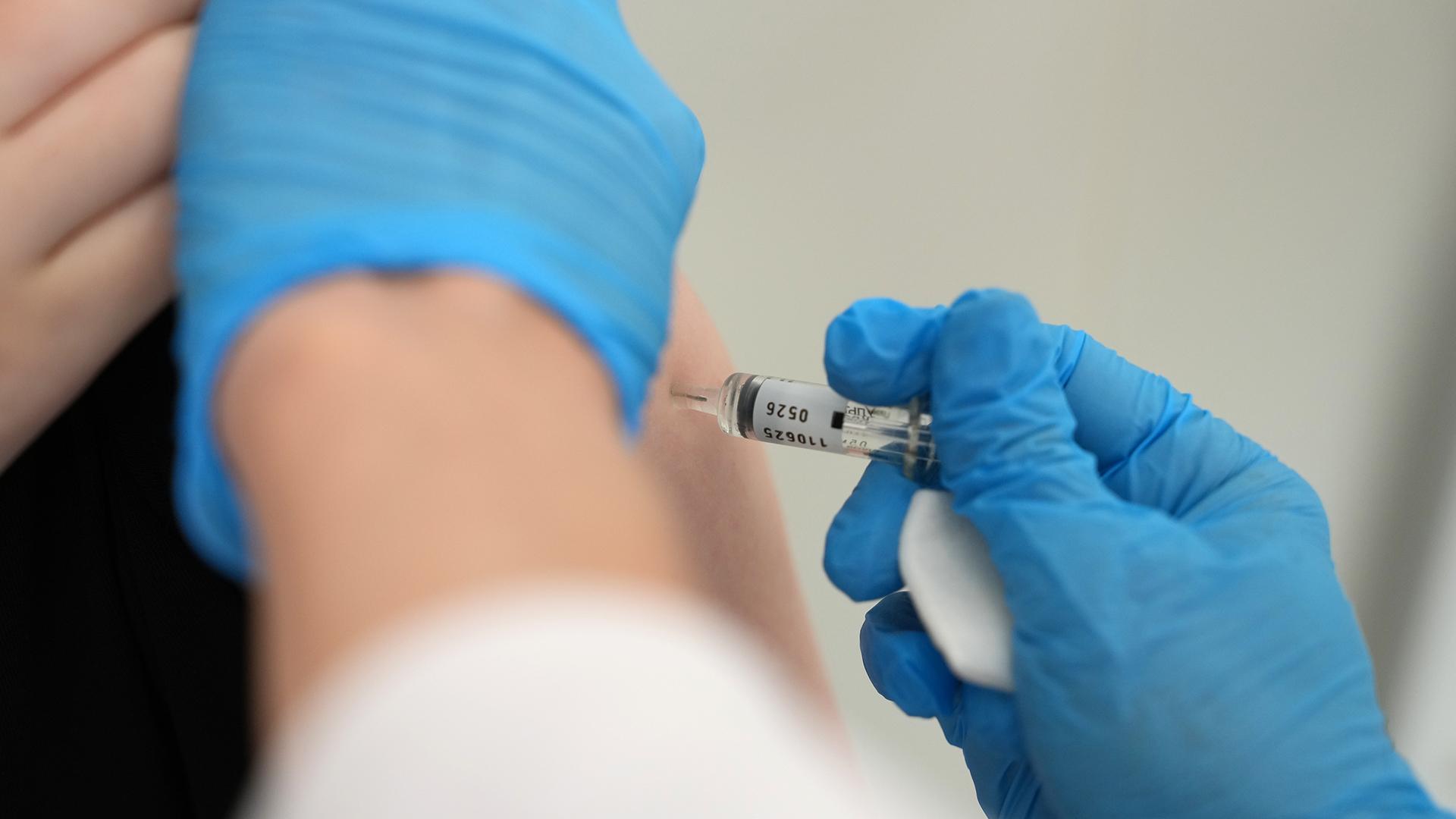 Фото: ИЗВЕСТИЯ/Дмитрий Коротаев