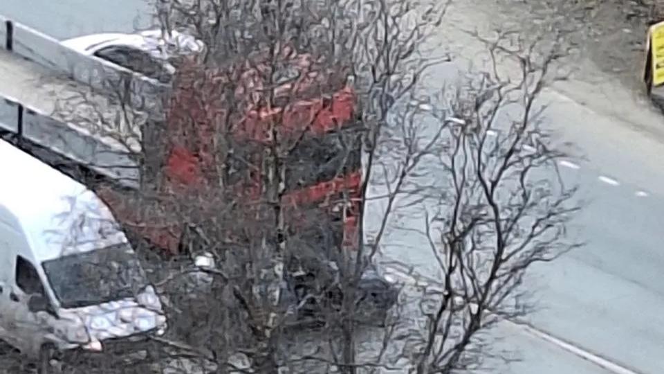 Фото: соцсети