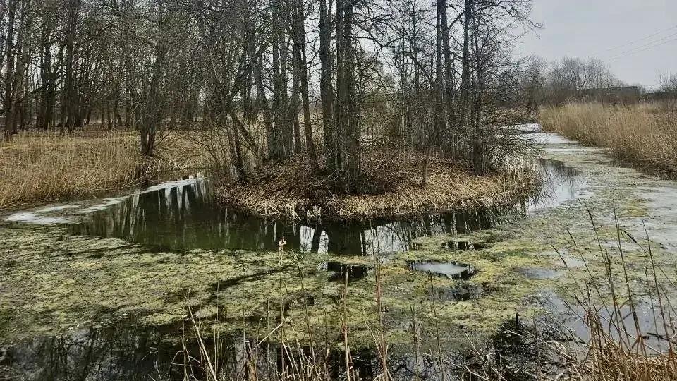 Фото: max.ru/lenobladminka