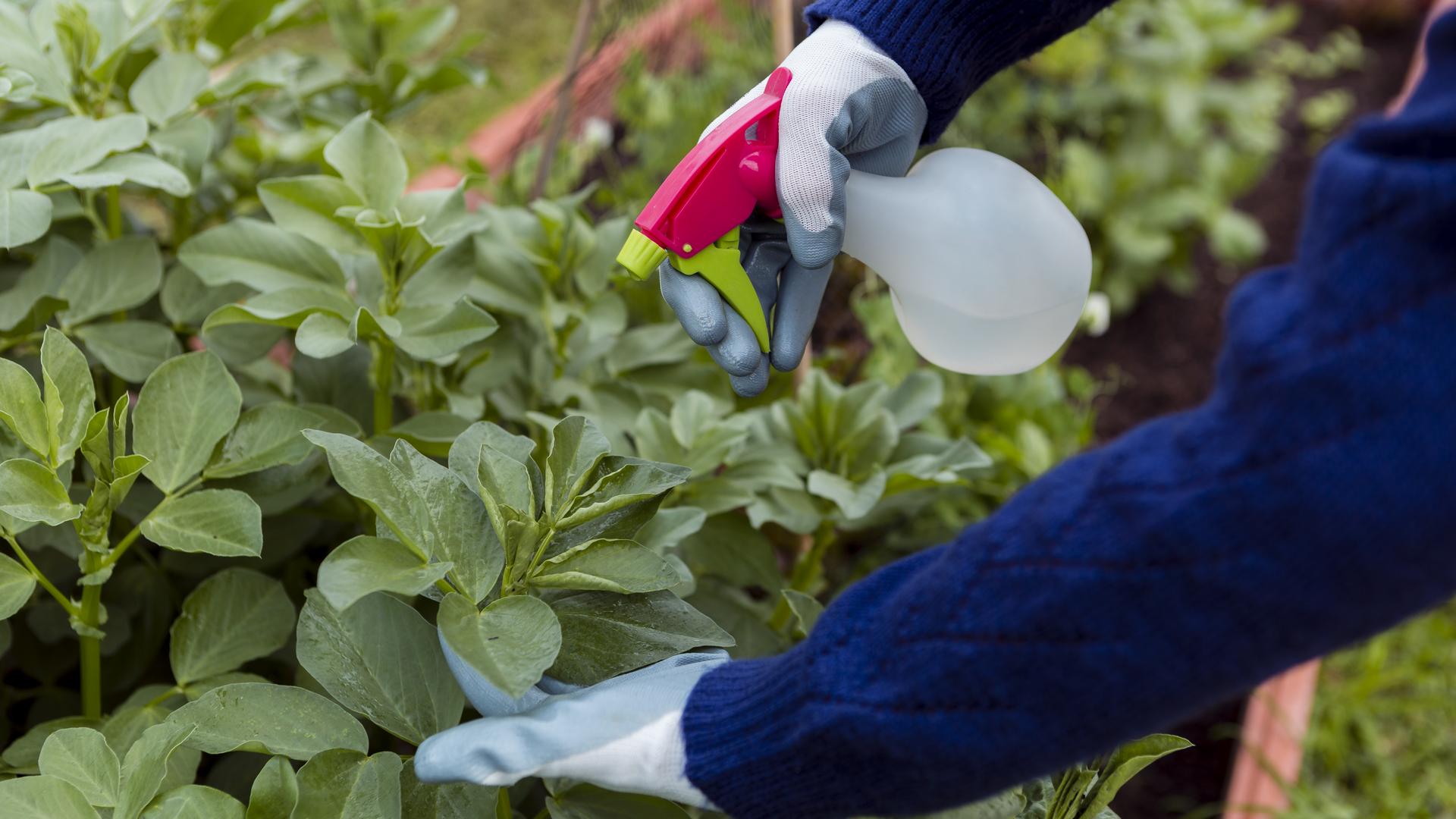 Фото: freepik.com