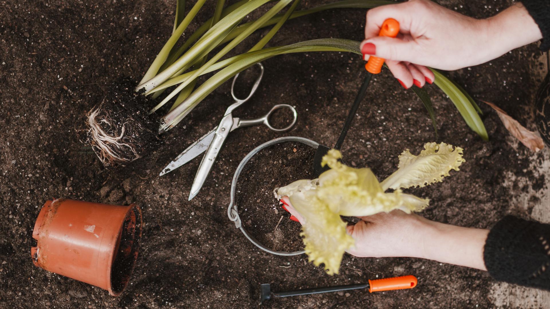 Фото: freepik.com