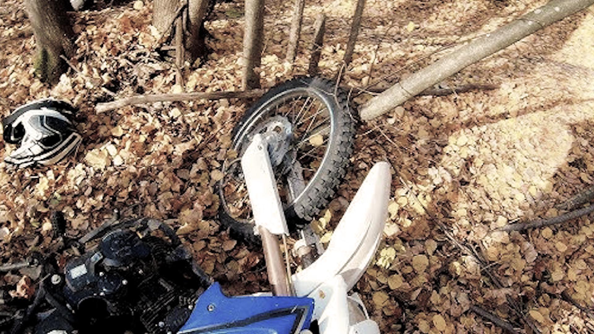 Фото: photoXpress