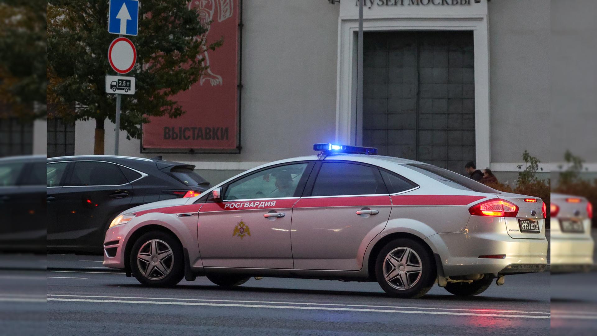 Фото: Shatokhina Natalia/globallookpress.com