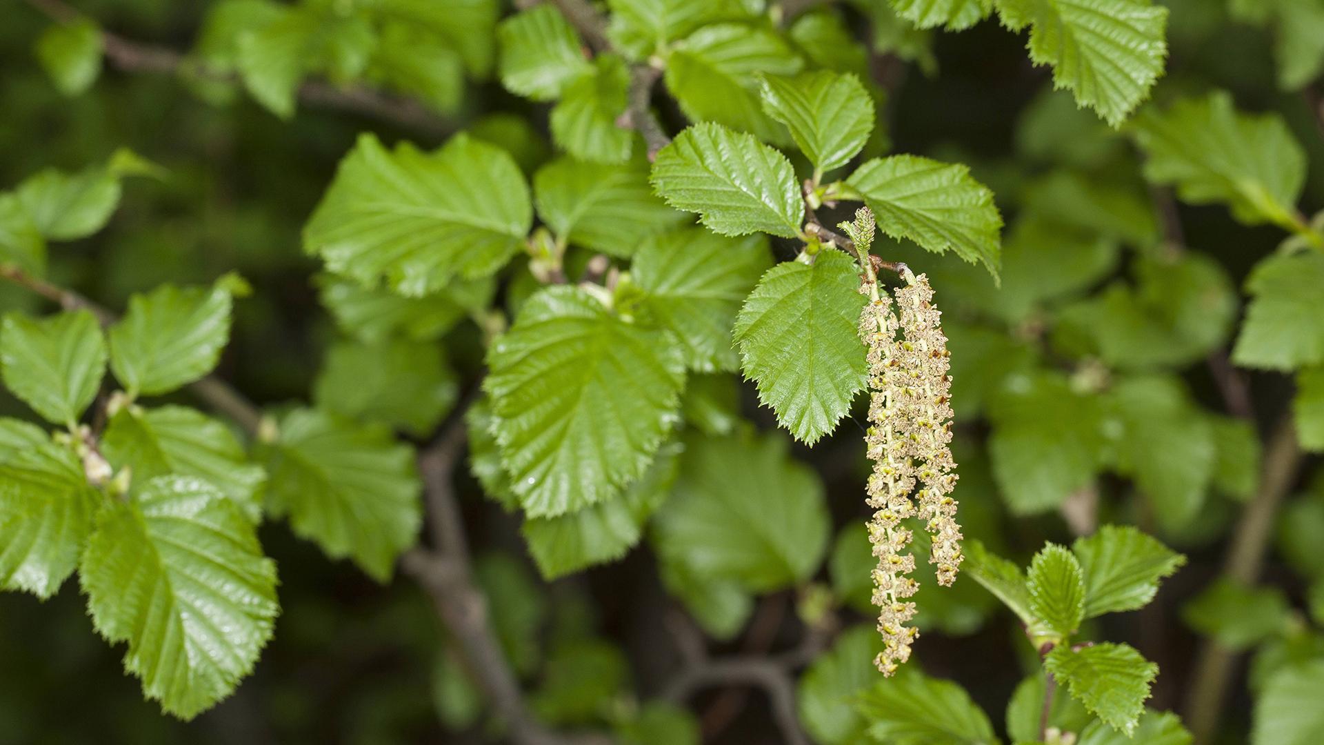 Фото: F. Hecker/globallookpress.com