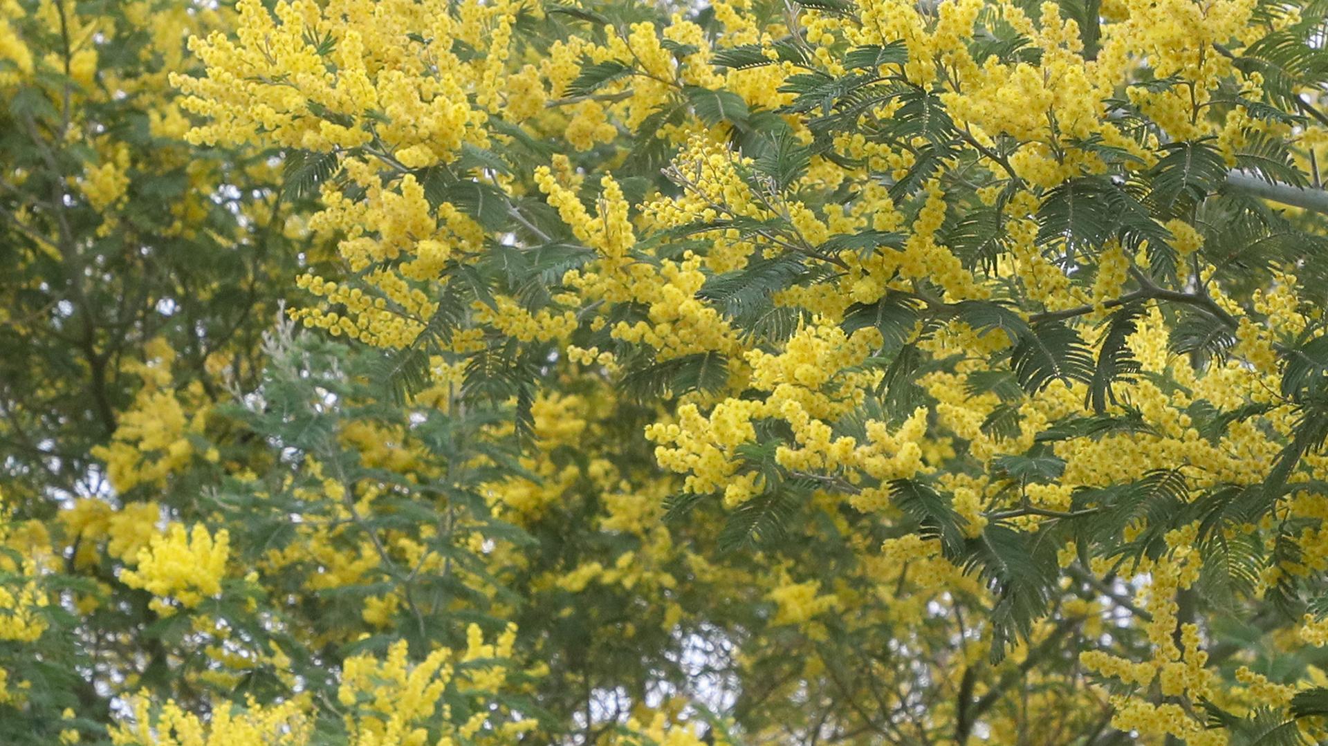 Фото: Petrov Sergey/globallookpress.com