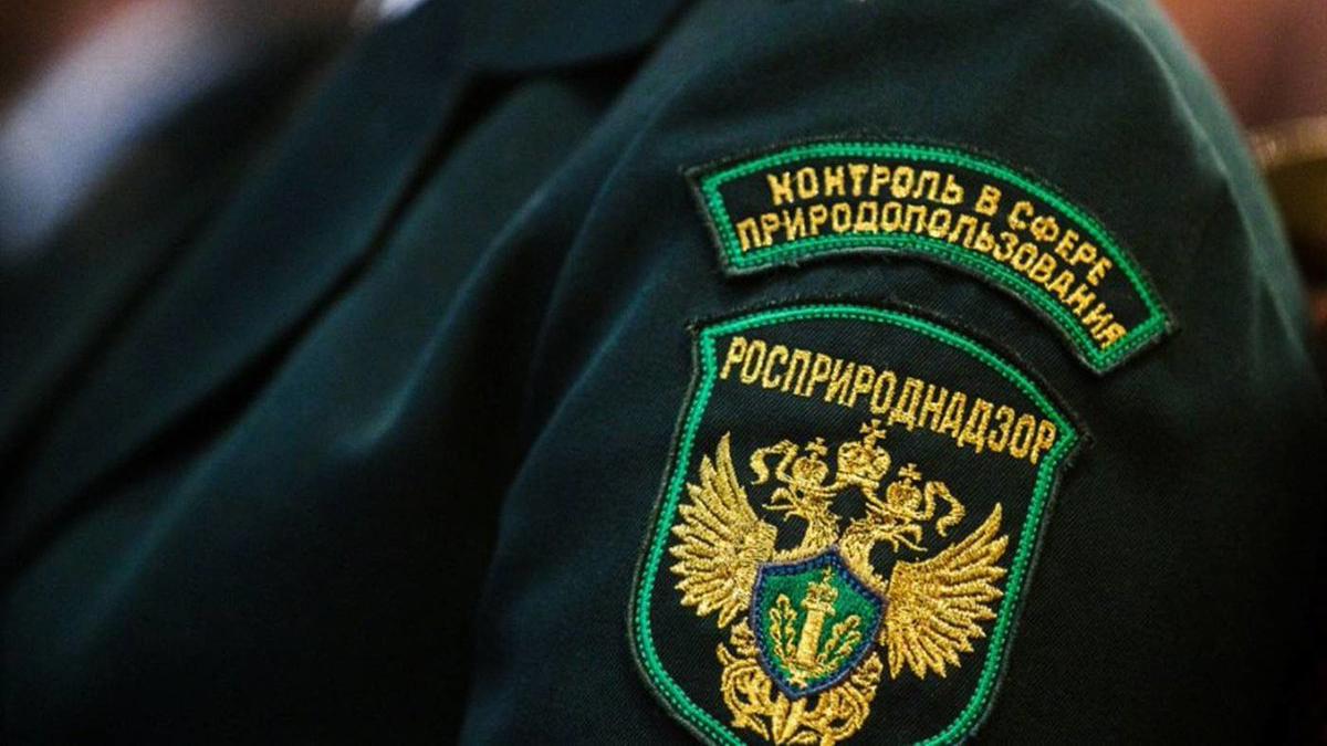 Фото: Roscosmos/globallookpress.com