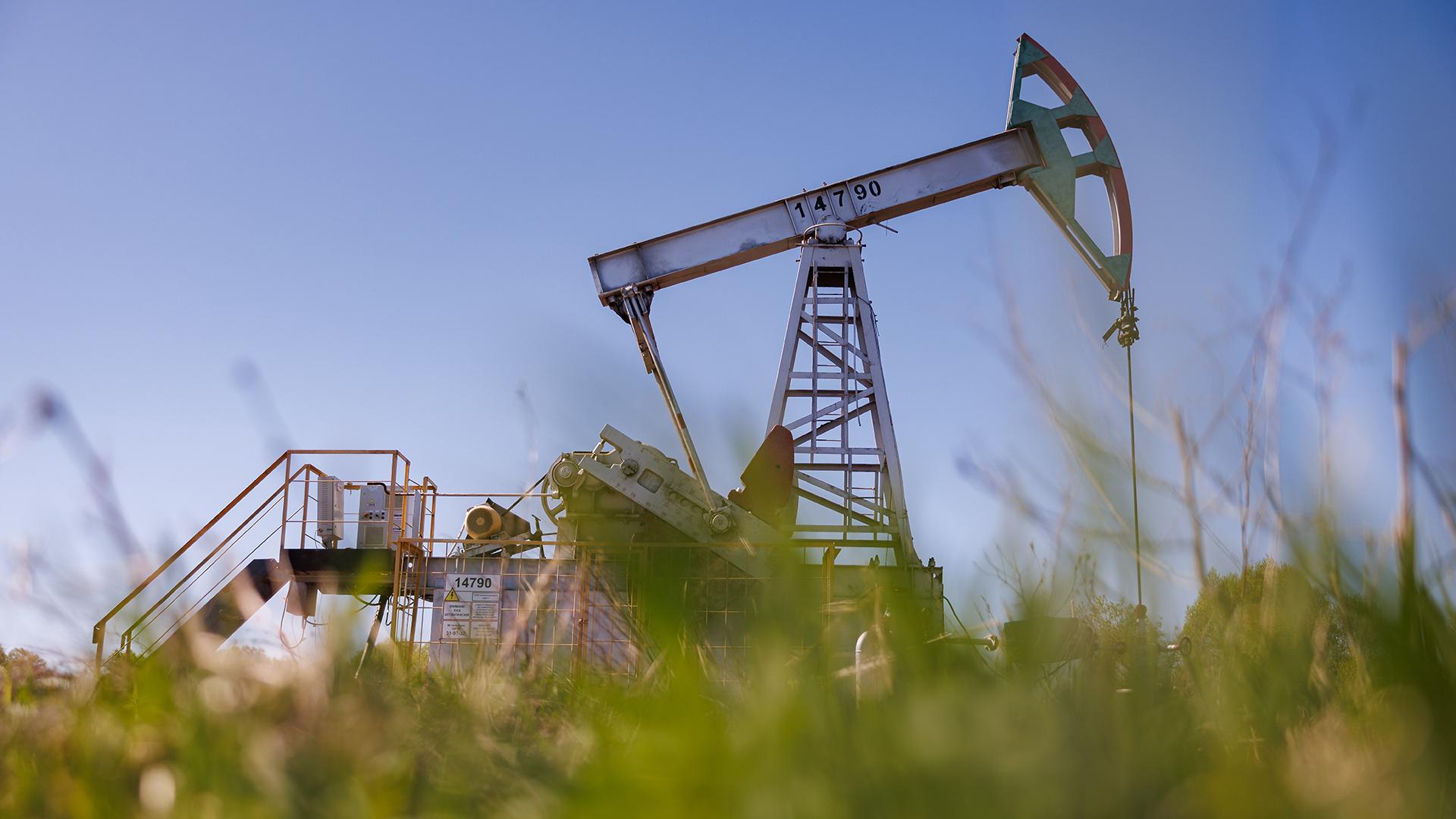 Фото: Sergey Elagin/globallookpress.com