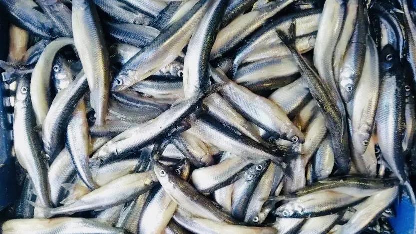 Фото: max.ru/drozdenko_au_lo