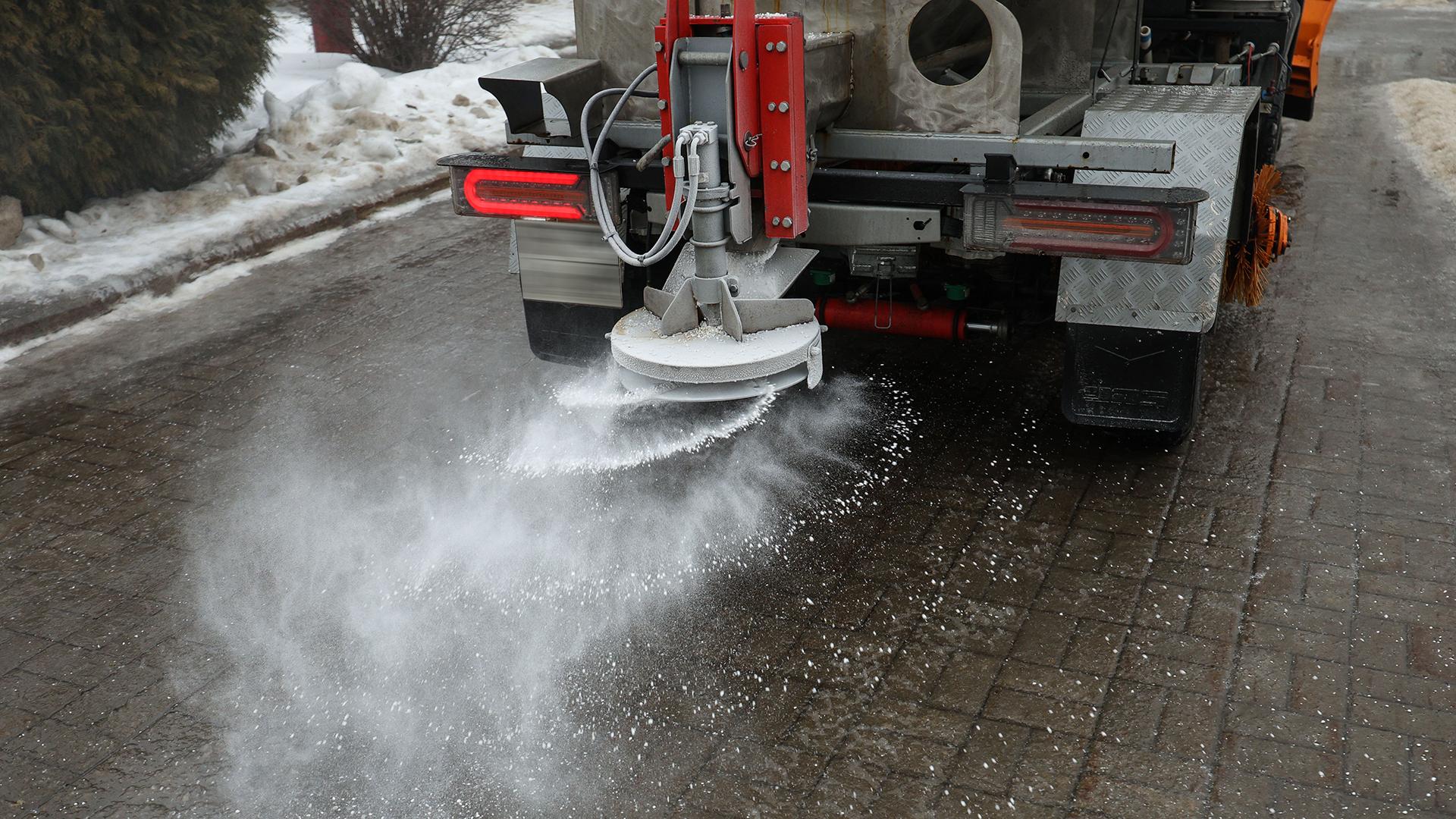 Фото: Andrey Titov/globallookpress.com