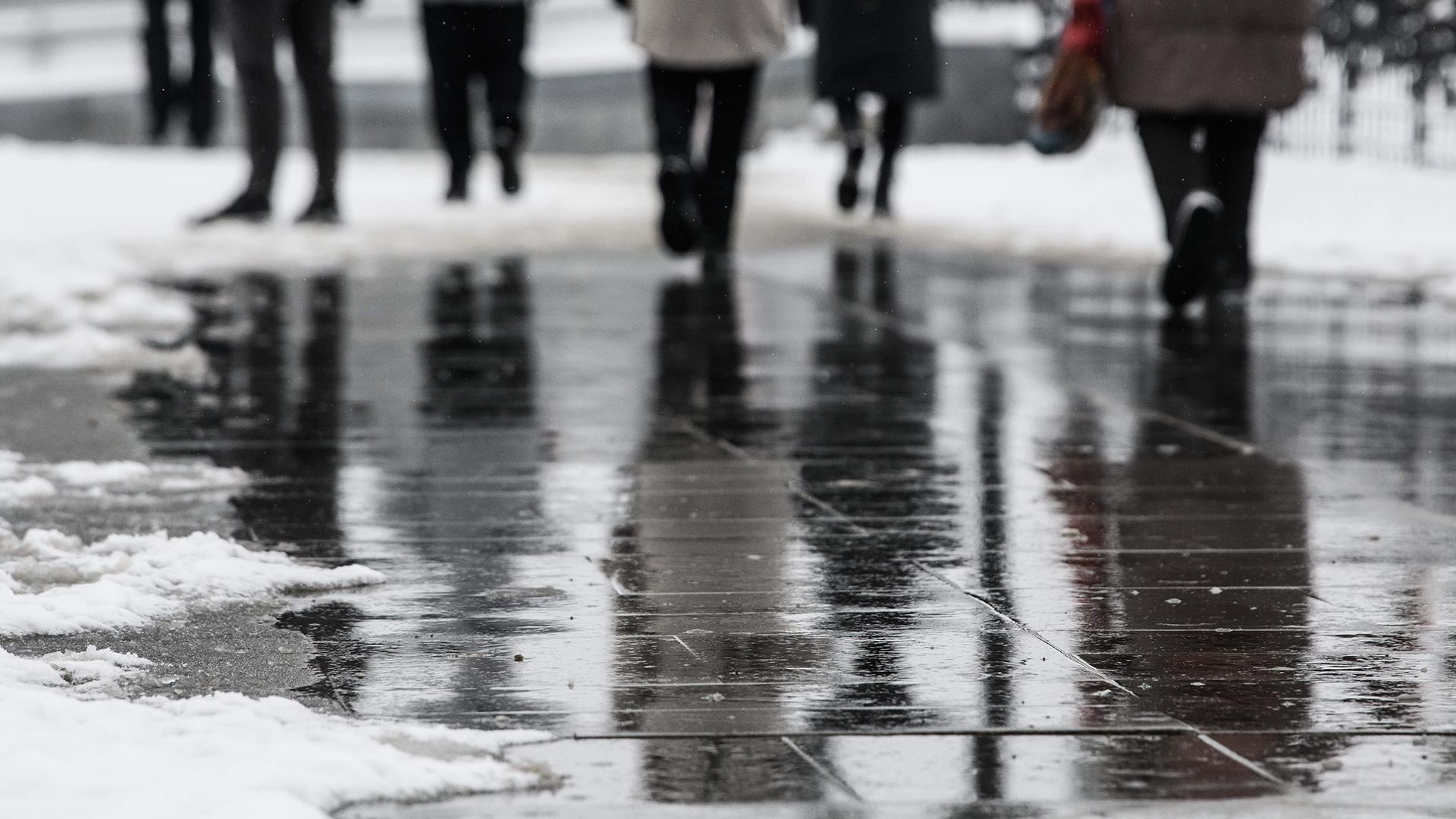 Фото: Ilya Moskovets/globallookpress.com