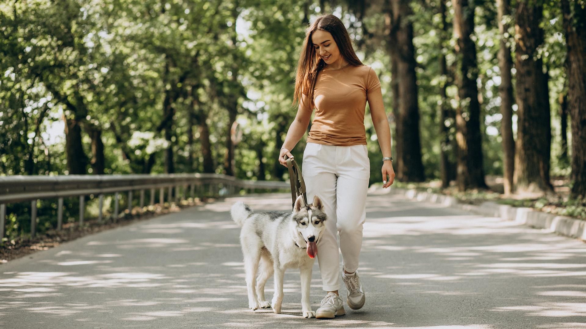 Фото: freepik.com/senivpetro