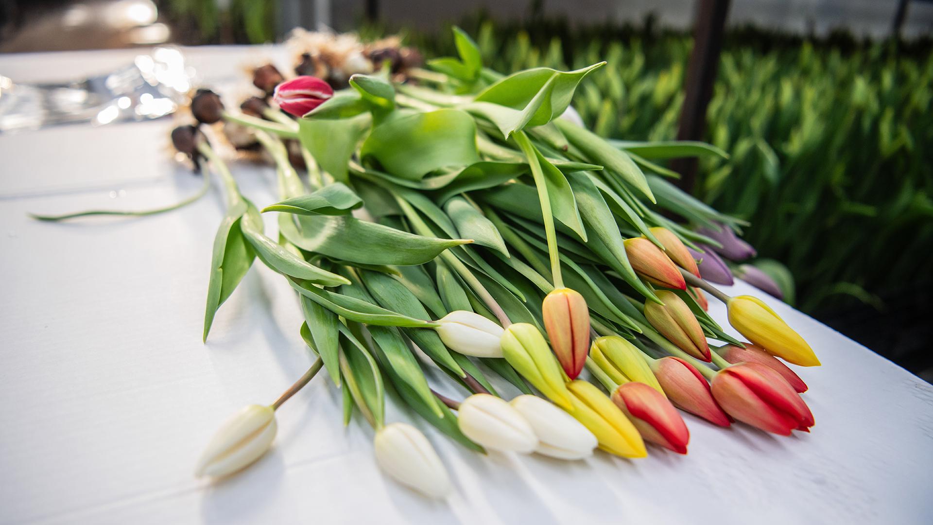 Фото: Ilya Moskovets/globallookpress.com