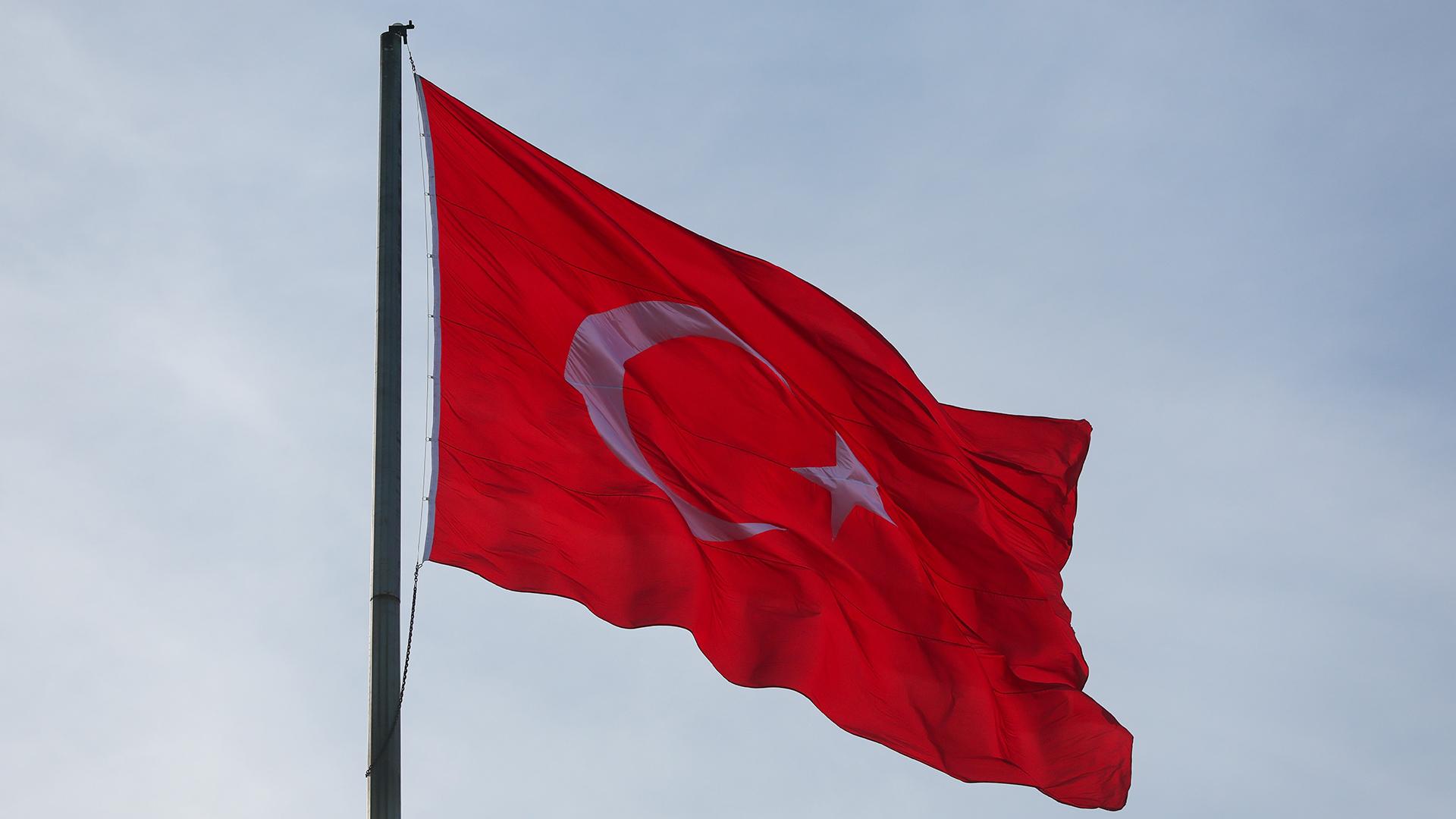 Фото: Belkin Alexey/globallookpress.com