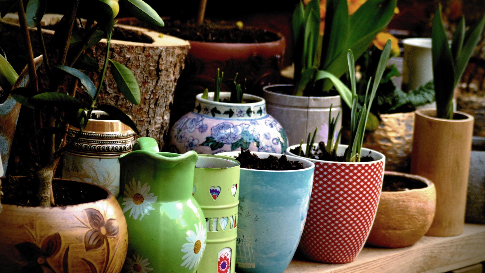 Фото: pixabay.com