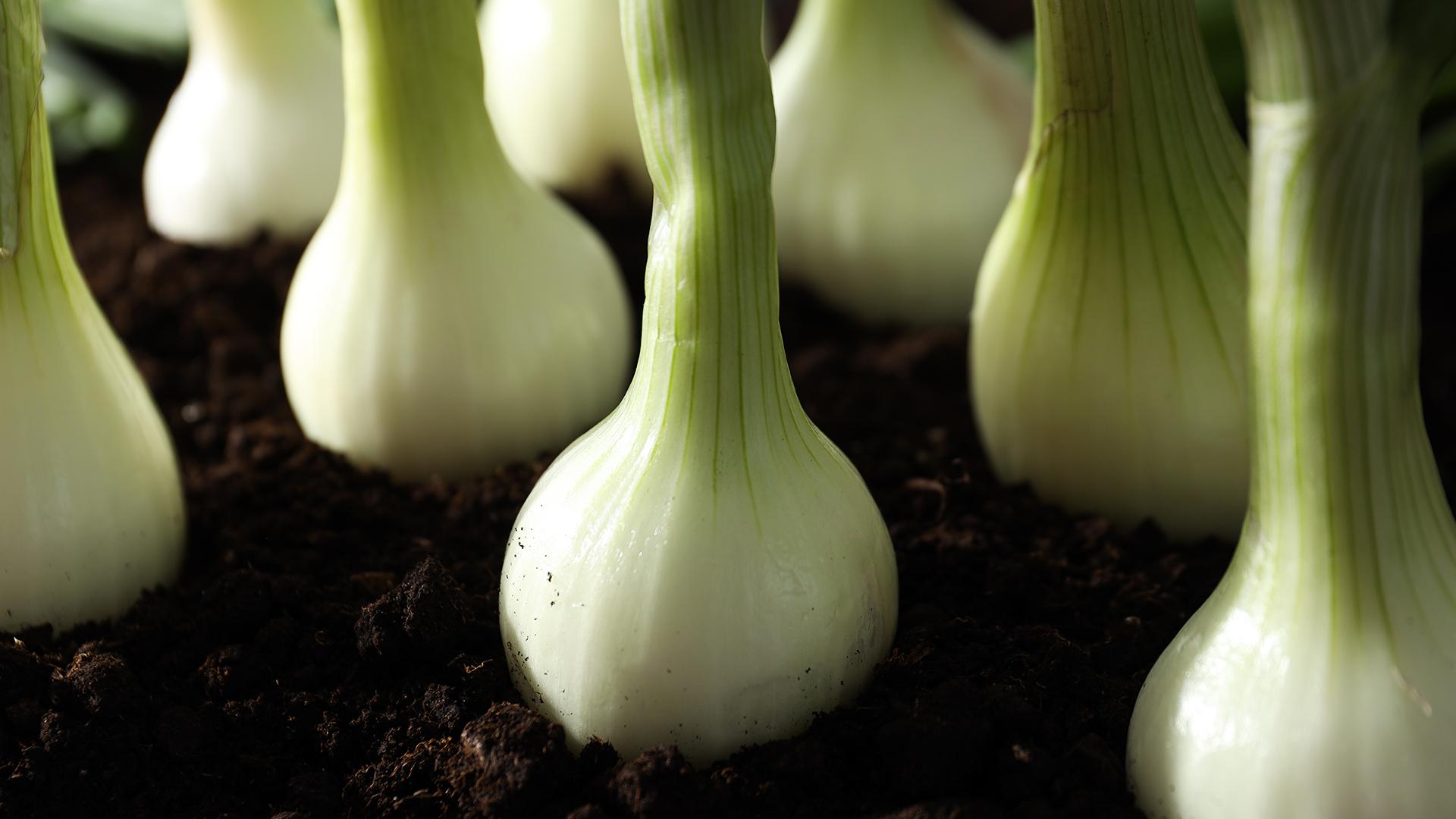 Фото: freepik.com/atlascompany