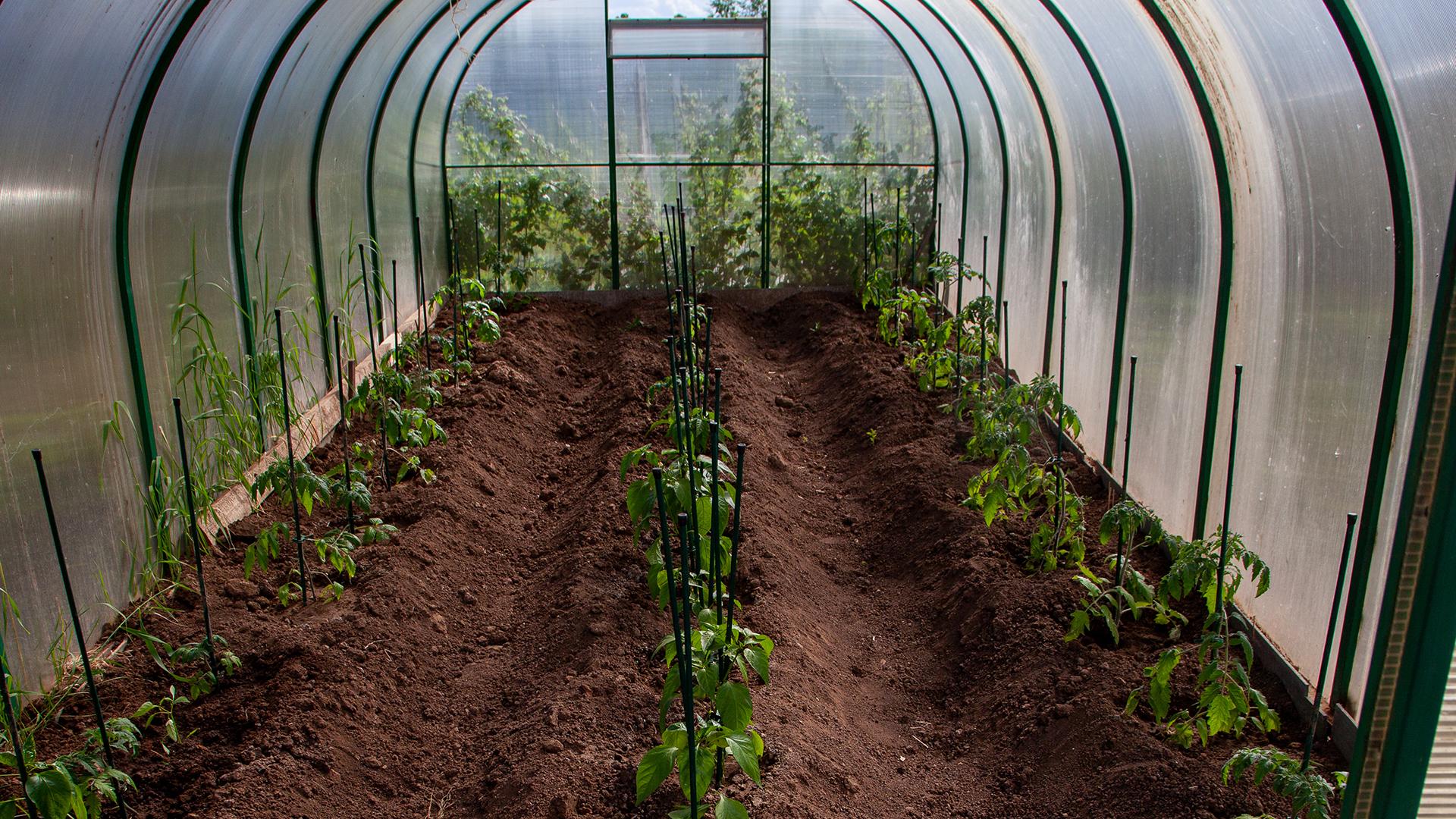 Фото: Oksana Korol/globallookpress.com