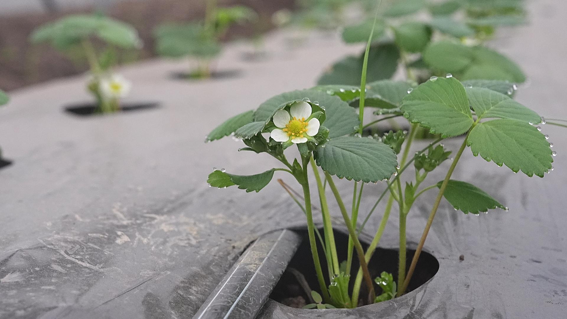Фото: ИЗВЕСТИЯ/Павел Волков
