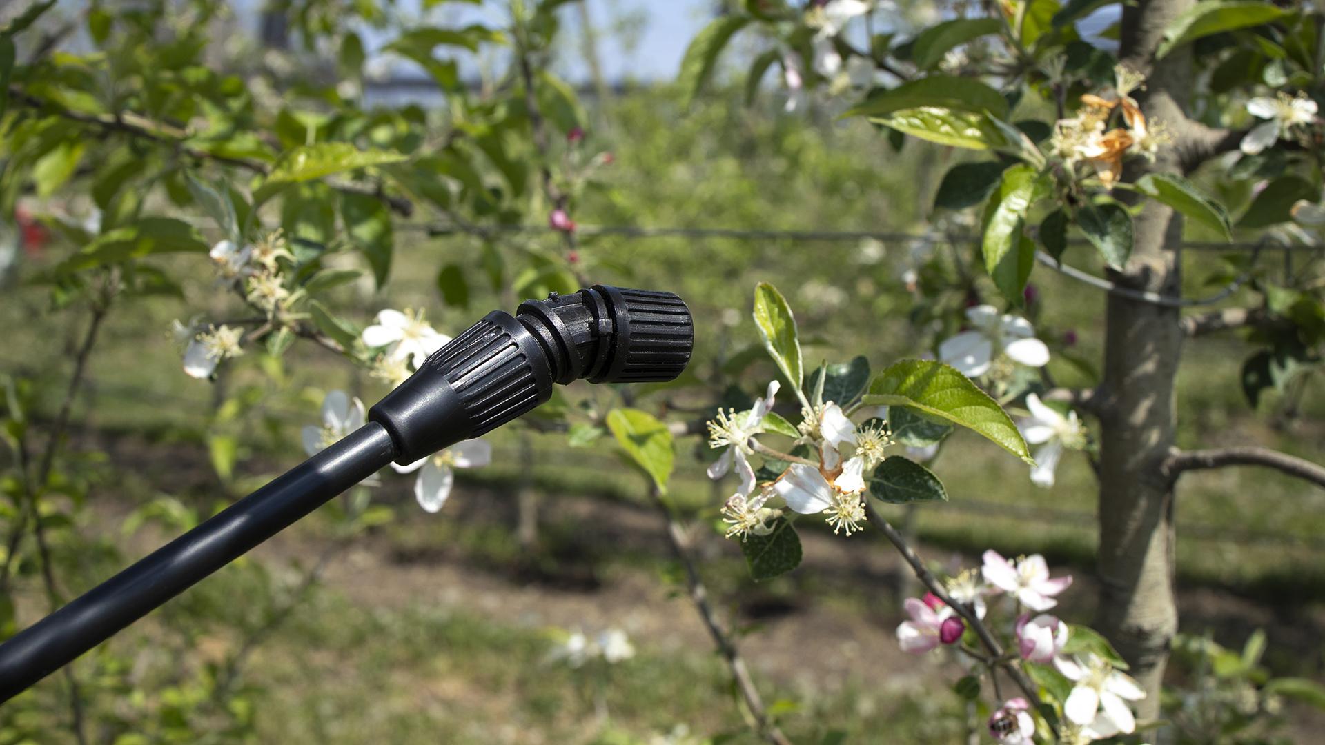 Фото: freepik.com/aleksandarlittlewolf