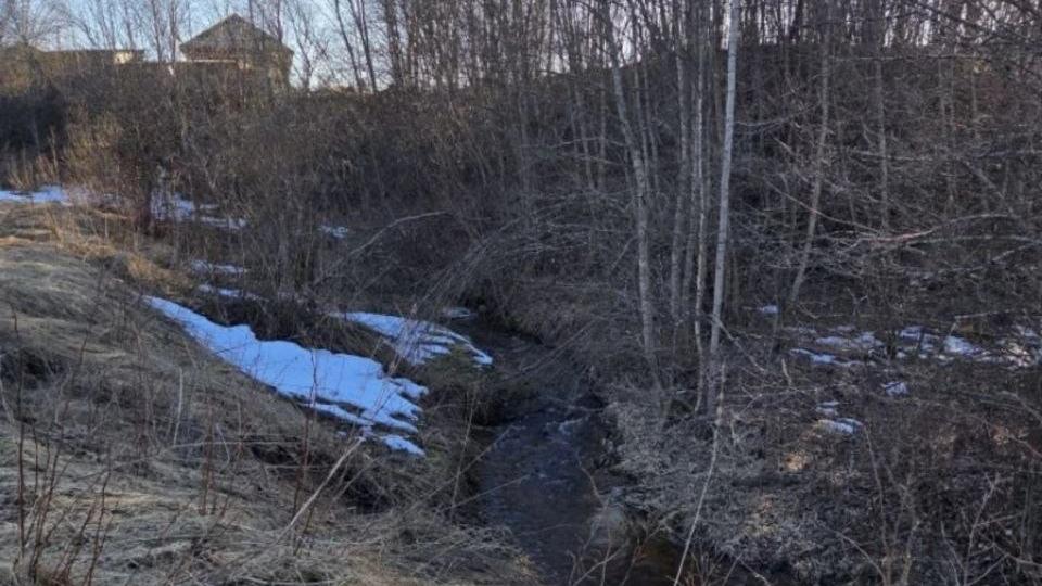 Фото: t.me/prok_lenobl