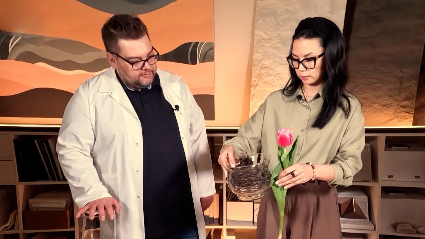 Дом советов (1 апреля 2026)