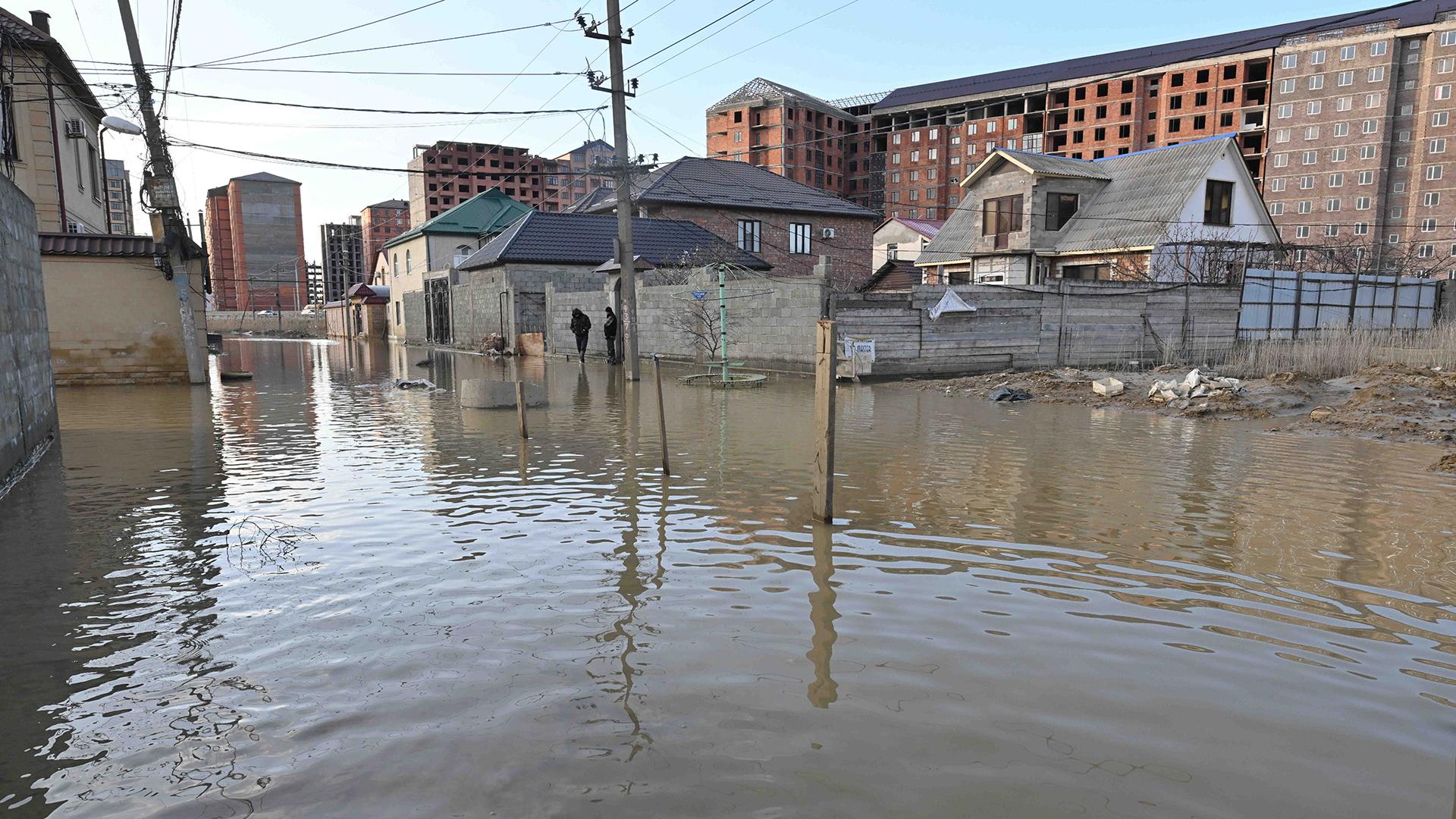 Фото: Komsomolskaya Pravda/globallookpress.com