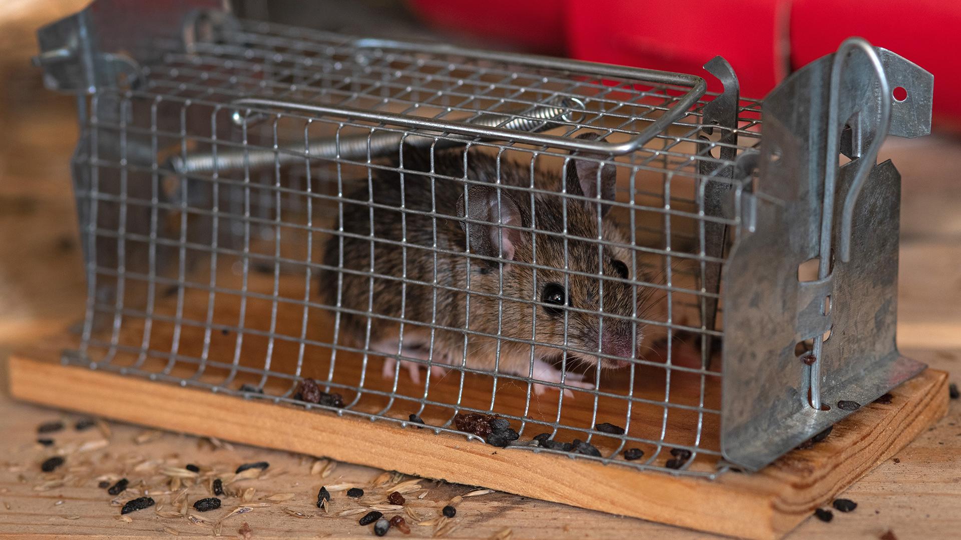 Фото: Tim Brakemeier/globallookpress.com