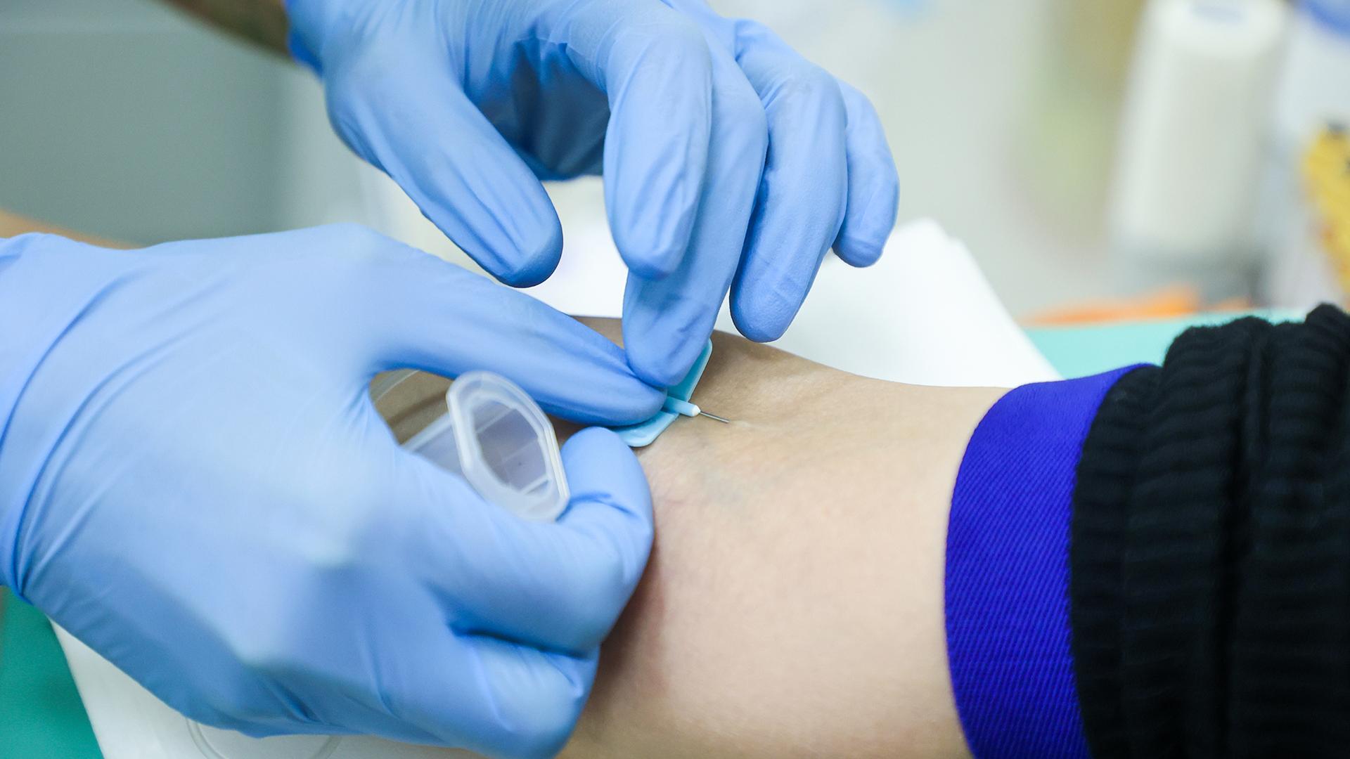 Фото: Petrov Sergey/globallookpress.com