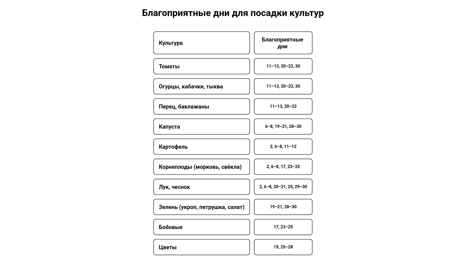 Фото: 78.ru