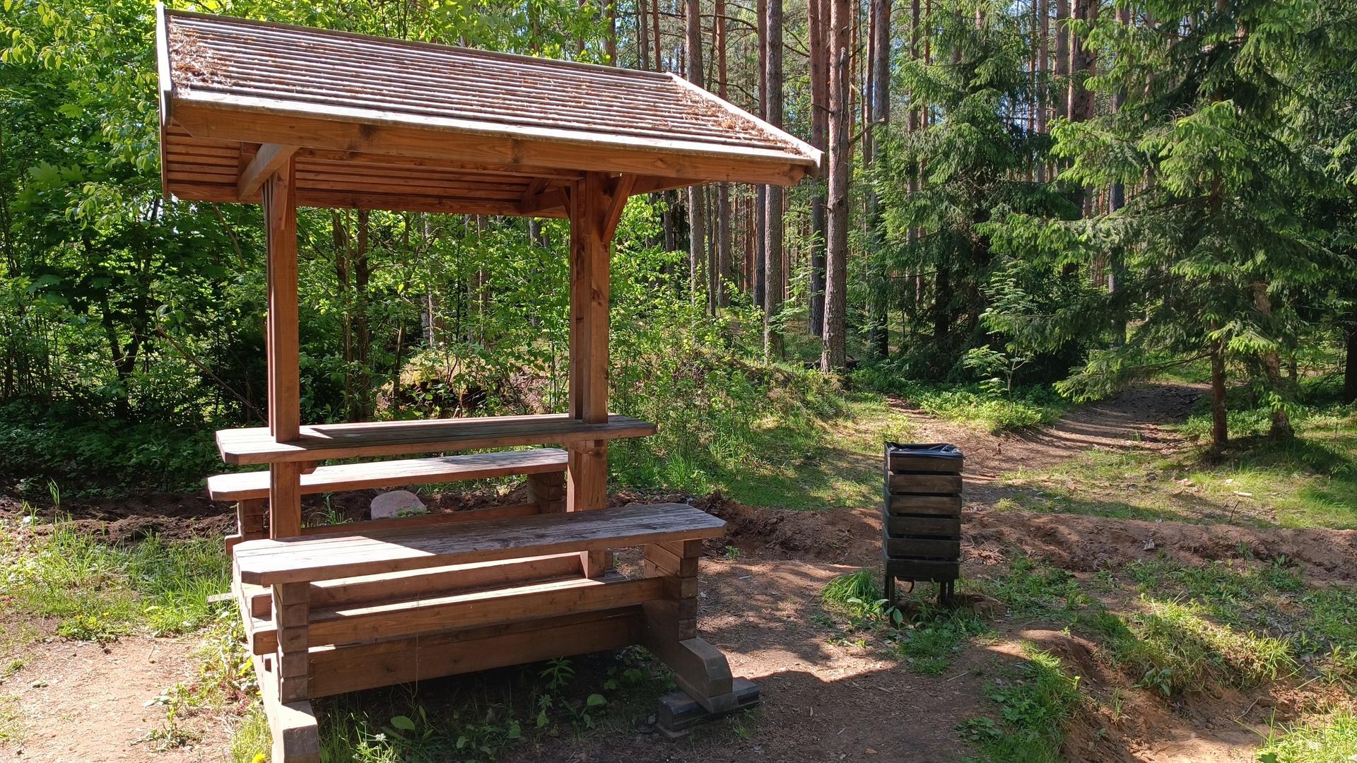 Фото: пресс-служба комитета по благоустройству Санкт-Петербурга