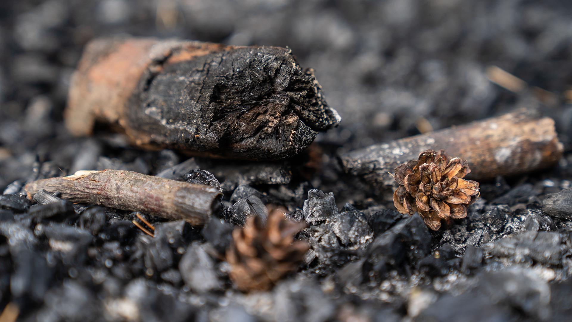 Фото: Nicolas Armer/globallookpress.com