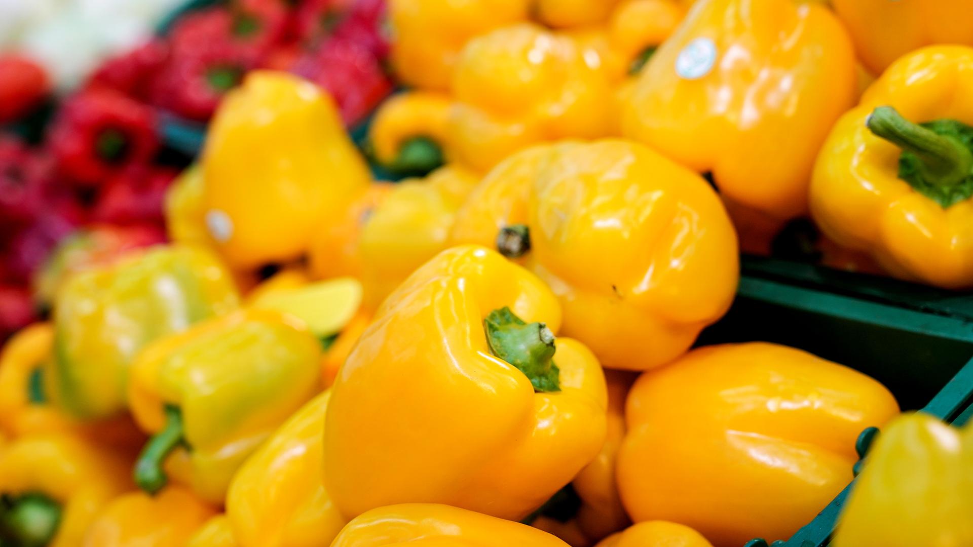 Фото: ИЗВЕСТИЯ/Анна Селина