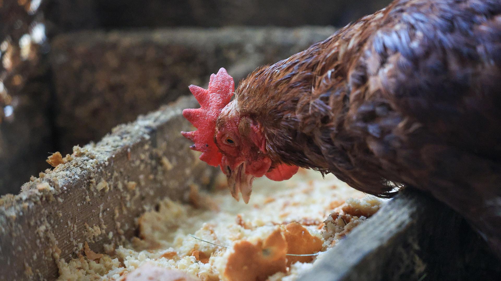 Фото: Shatokhina Natalia/globallookpress.com