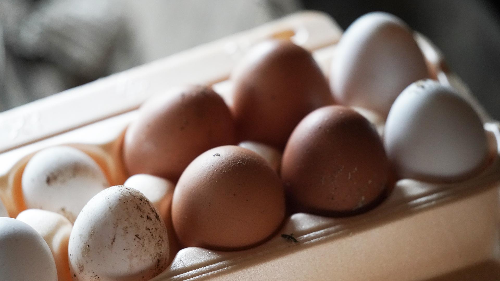 Фото: ИЗВЕСТИЯ/Эдуард Корниенко