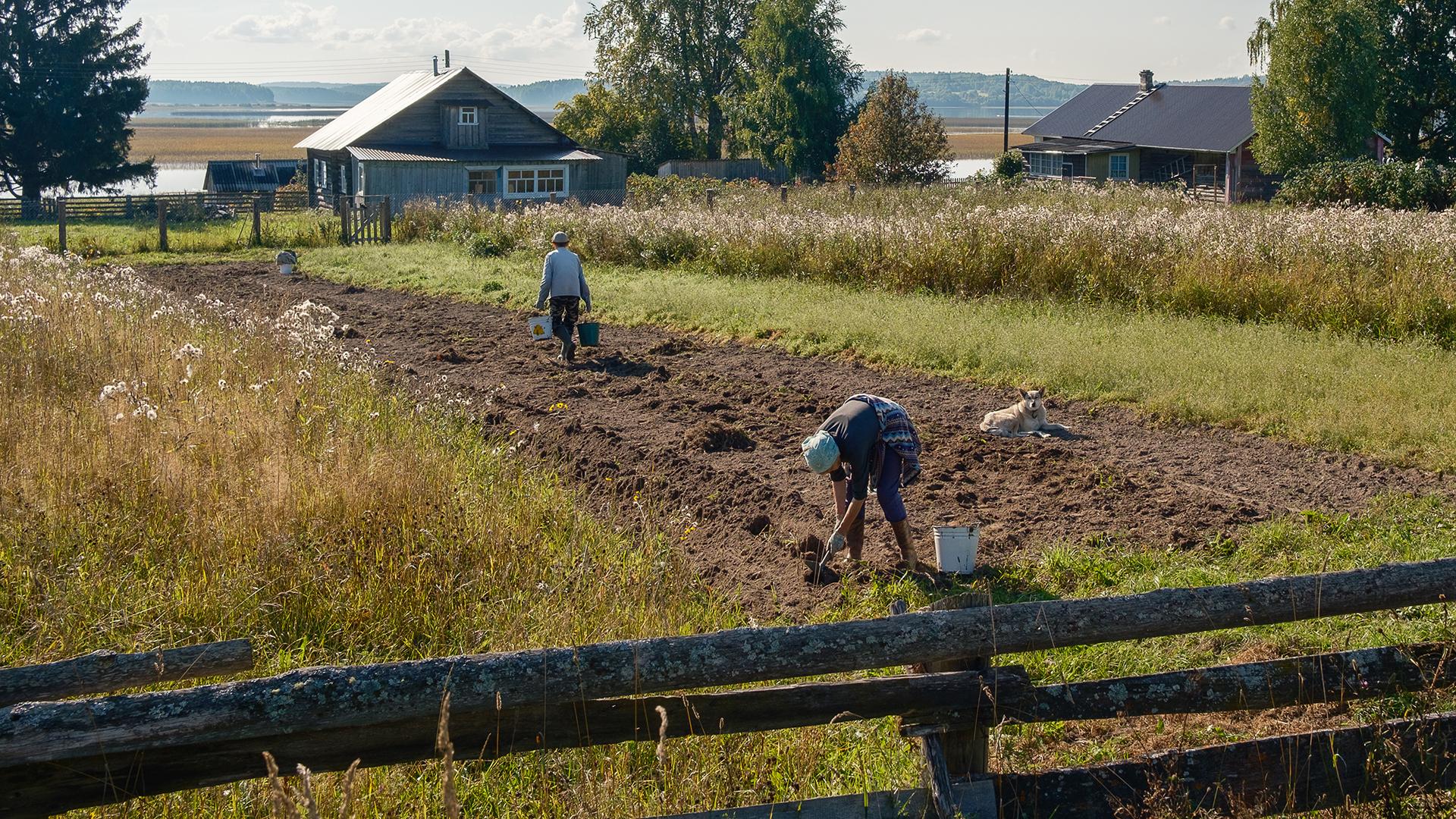 Фото: ИЗВЕСТИЯ/Сергей Виноградов