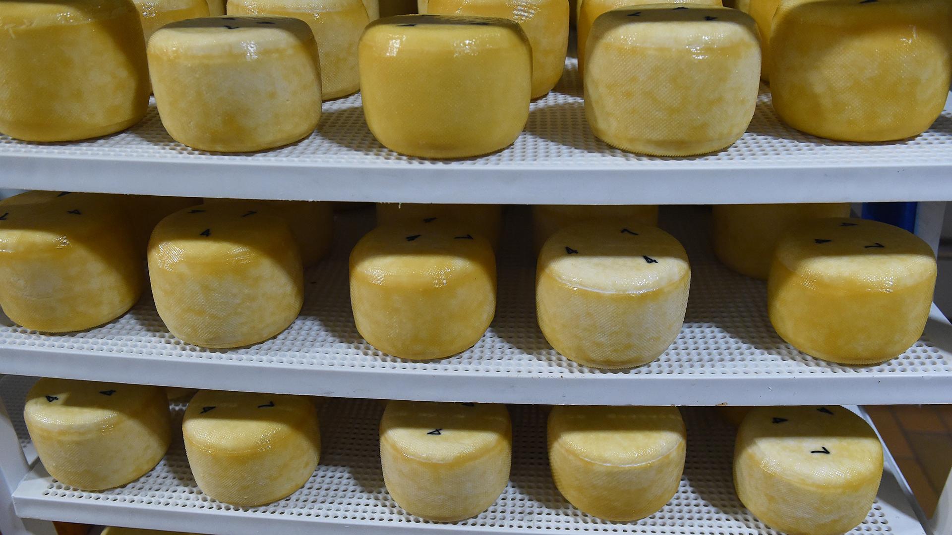 Фото: ИЗВЕСТИЯ/Александр Полегенько