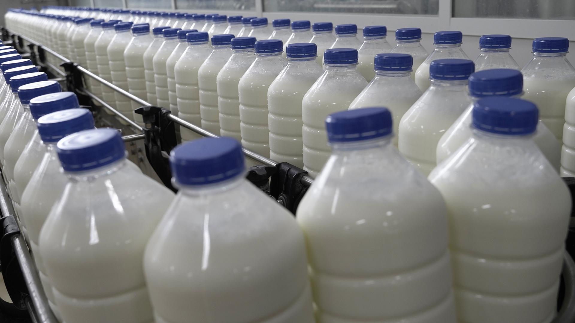 Фото: ИЗВЕСТИЯ/Сергей Венявский