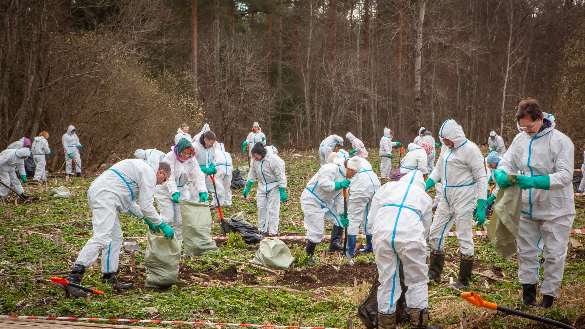 Фото: пресс-служба Ленинградского отделения ВООП