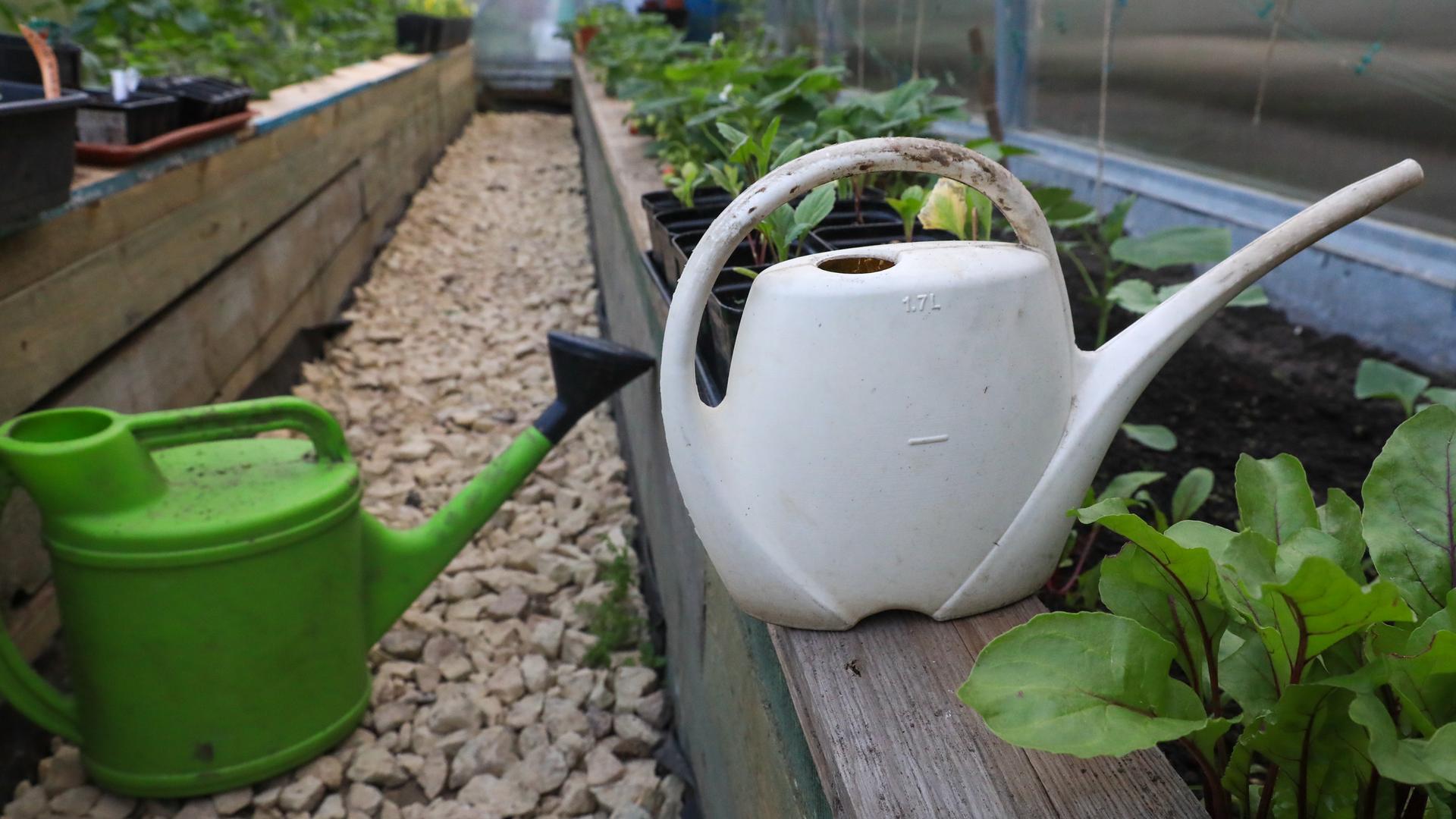 Фото: ИЗВЕСТИЯ/Сергей Коньков