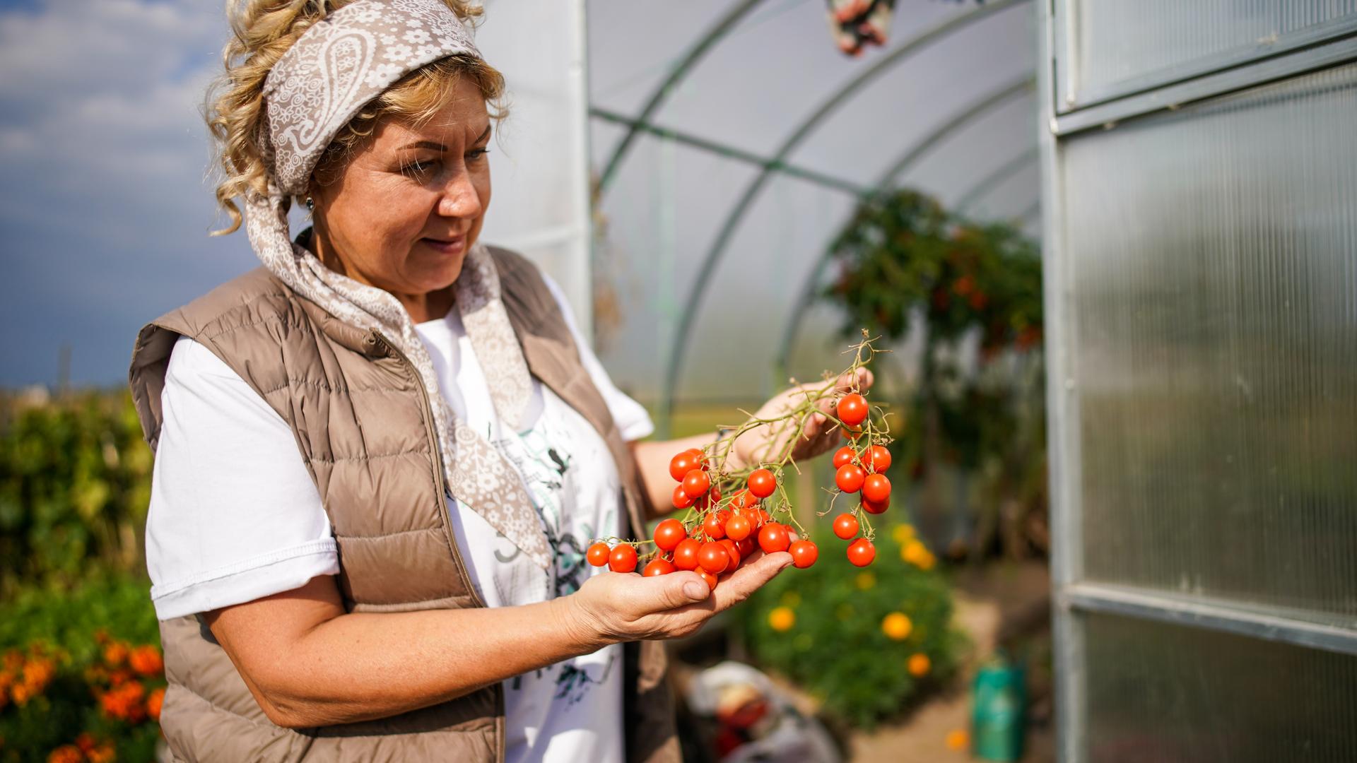 Фото: ИЗВЕСТИЯ/Сергей Лантюхов