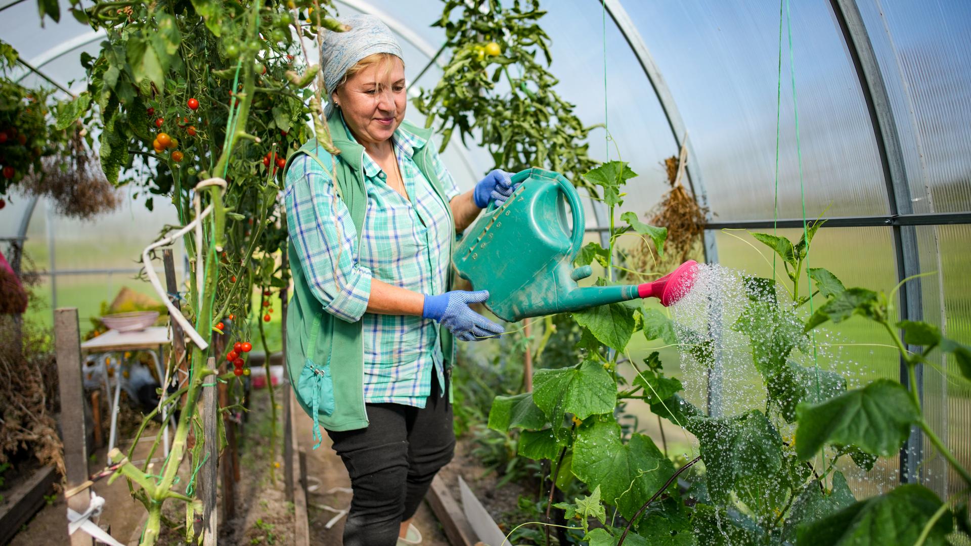 ИЗВЕСТИЯ/Сергей Лантюхов