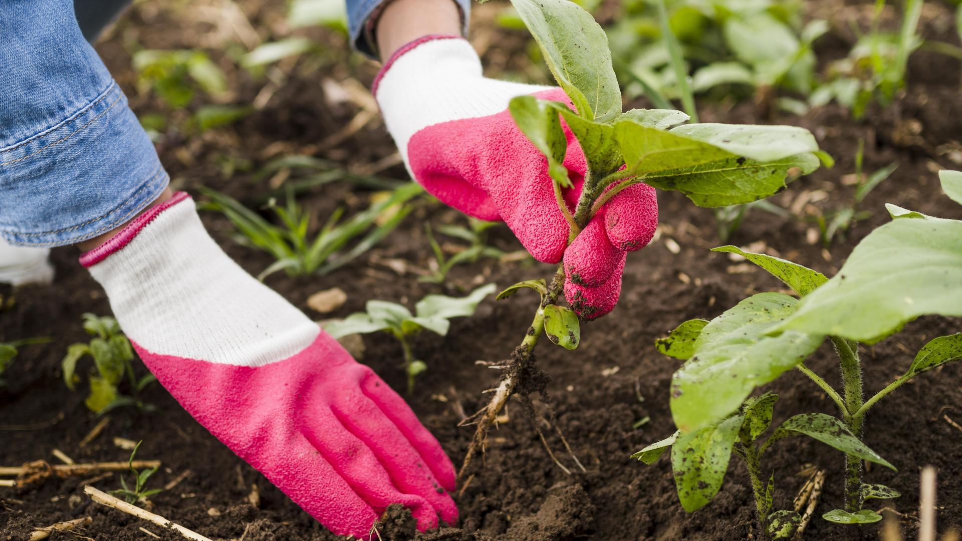 Фото: ru.freepik.com