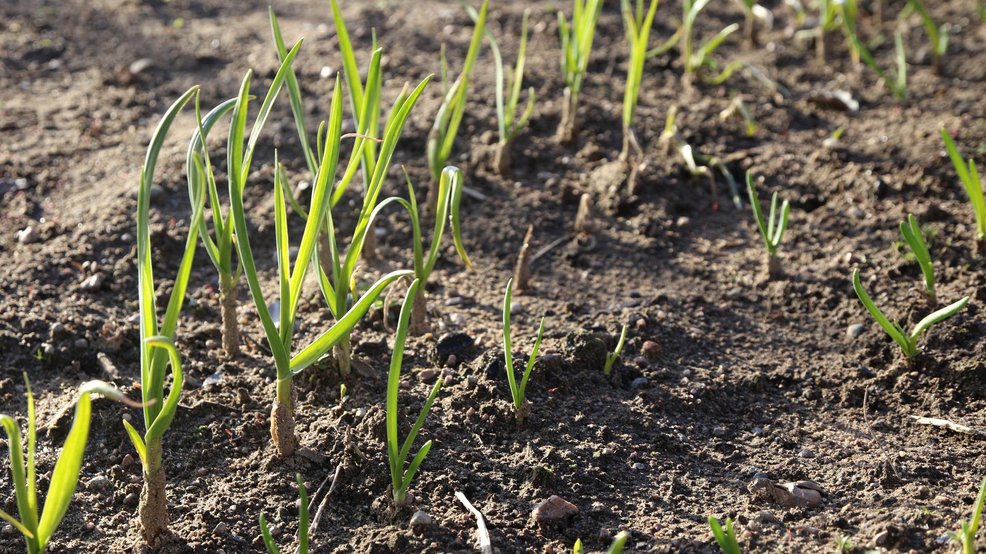 Фото: Global Look Press