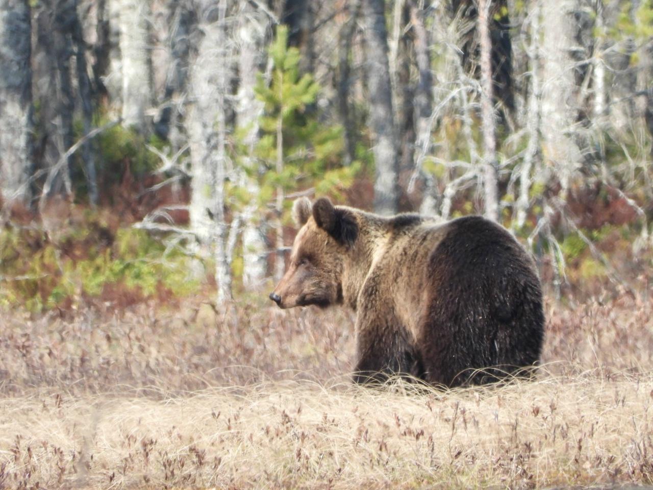 Фото: Александр Сычев