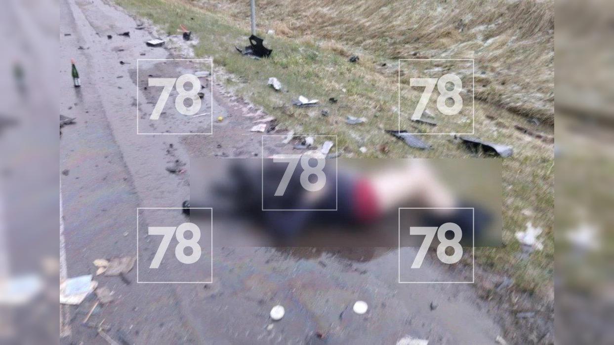 Фото: пресс-служба МЧС по Ленобласти