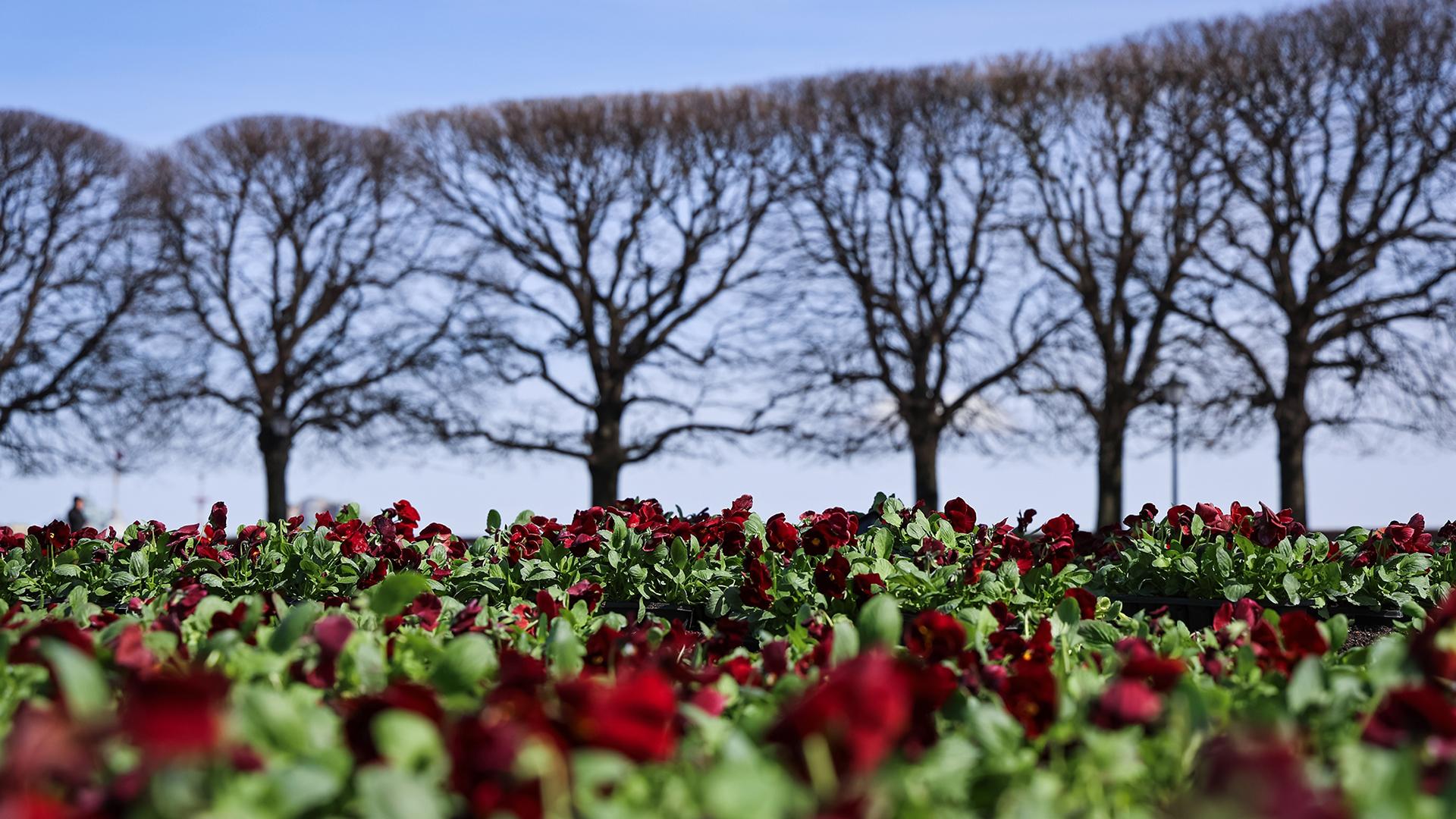 Фото: пресс-служба администрации Санкт‑Петербурга